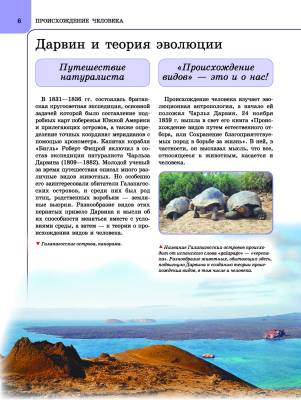 Человек. Анатомия и физиология. Энциклопедия